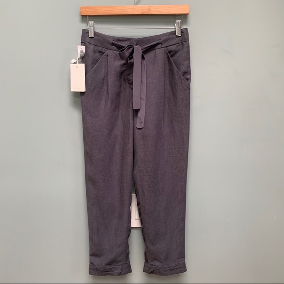 Wilfred Pants - Aritzia Wilfred Allant Pants Kinetic gray